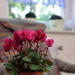 Apartment In The Hochsauerland Region In A Quiet Location Stormbruch