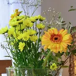 Apartment In The Hochsauerland Region In A Quiet Location 아파트