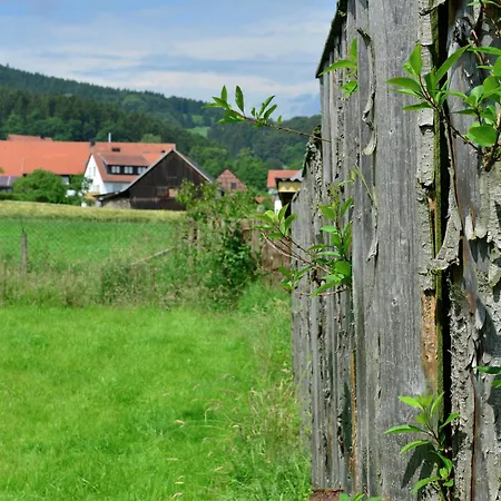 In The Hochsauerland Region In A Quiet Location Apartment *