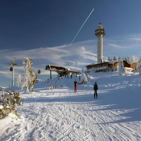 Lejlighed In The Hochsauerland Region In A Quiet Location *