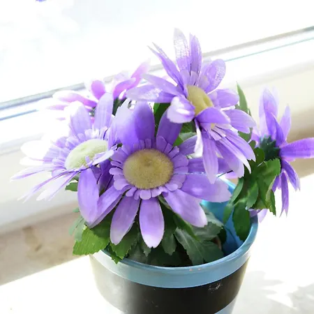 Apartman Apartment In The Hochsauerland Region In A Quiet Location