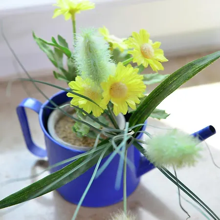 Grosse Ferienwohnung In Stormbruch Mit Terrasse Daire *