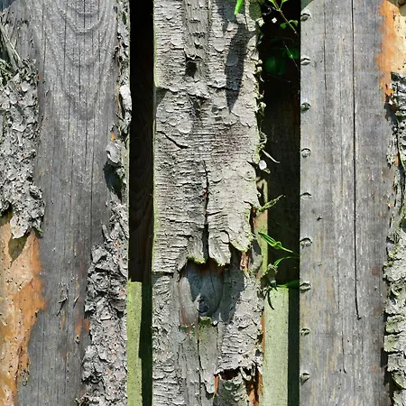 Apartment In The Hochsauerland Region In A Quiet Location Stormbruch