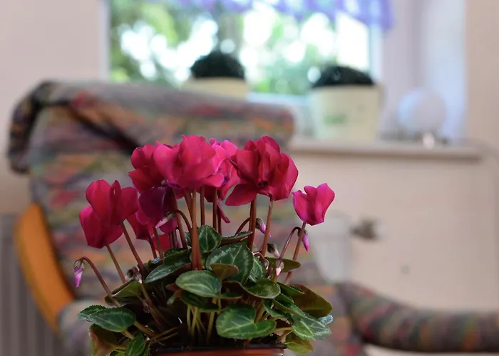 In The Hochsauerland Region In A Quiet Location Stormbruch