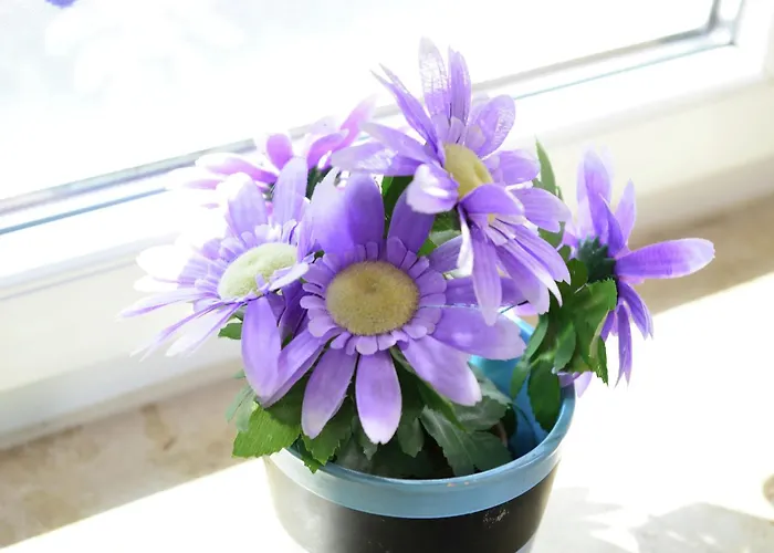 Appartement In The Hochsauerland Region In A Quiet Location