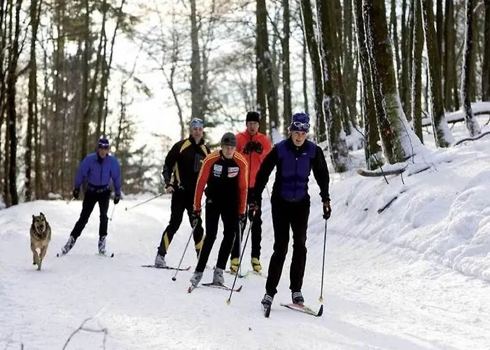 아파트 Apartment In The Hochsauerland Region In A Quiet Location