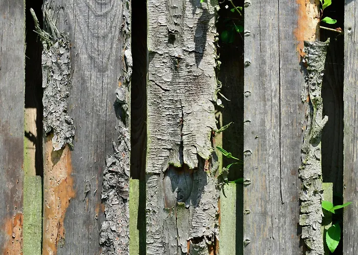 Apartment In The Hochsauerland Region In A Quiet Location *